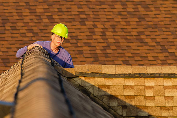 Best Flat Roof Repair Services  in Perham, MN